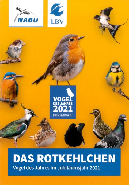 Das Rotkehlchen "Vogel des Jahres 2021"